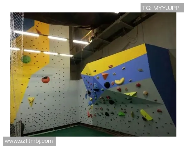 广州攀岩队中路突破革新之路探索与实践的深度剖析 广州攀岩队中路突破革新之路探索与实践的深度剖析