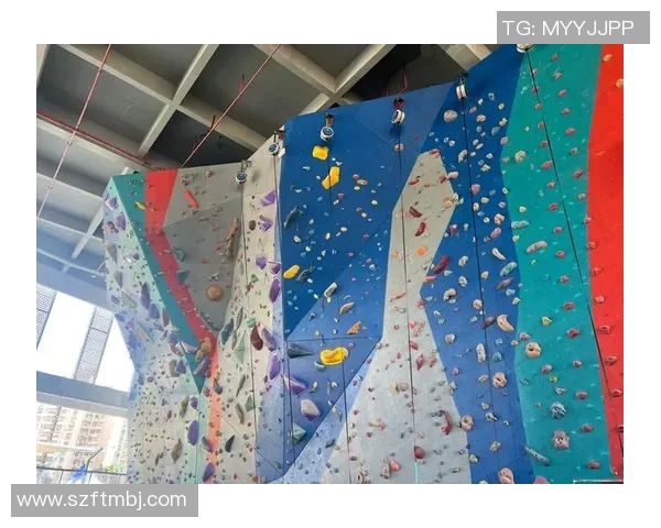 武汉攀岩队协作技巧研究与训练方法探讨助力攀岩竞技水平提升