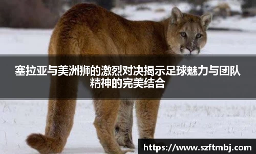 泛亚电竞