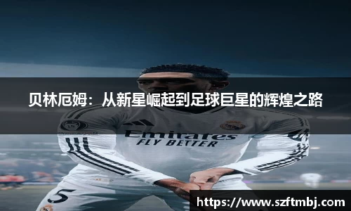 泛亚电竞官方app